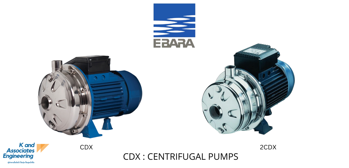 CDX_2CDX_EBARA_PUMP